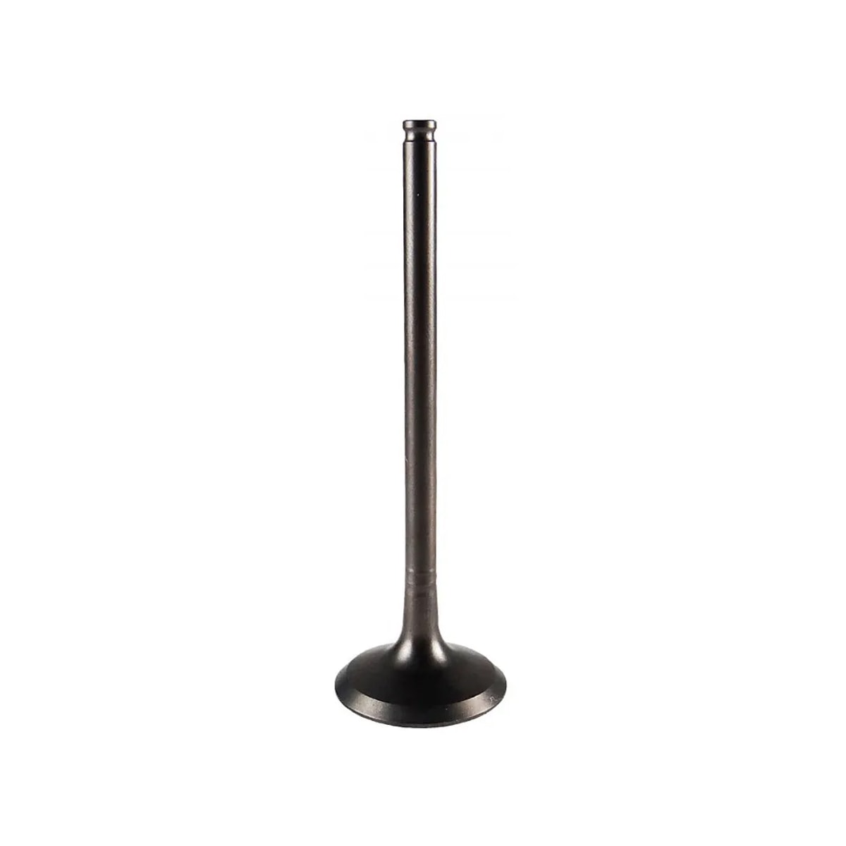 Product main image - 0693c029-f13b-44c1-9266-fa0dcb6b1090