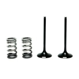 Válvula de Escape Ktm 250 Sxf 05/12 + Molas 3B