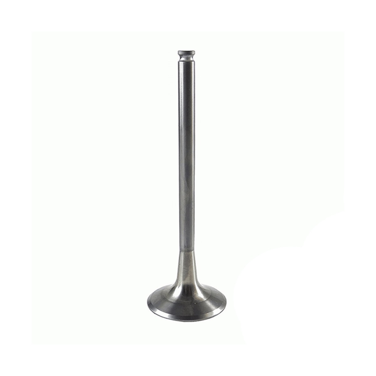 Product main image - 358750d5-a74c-4700-9e76-864d6f30e444