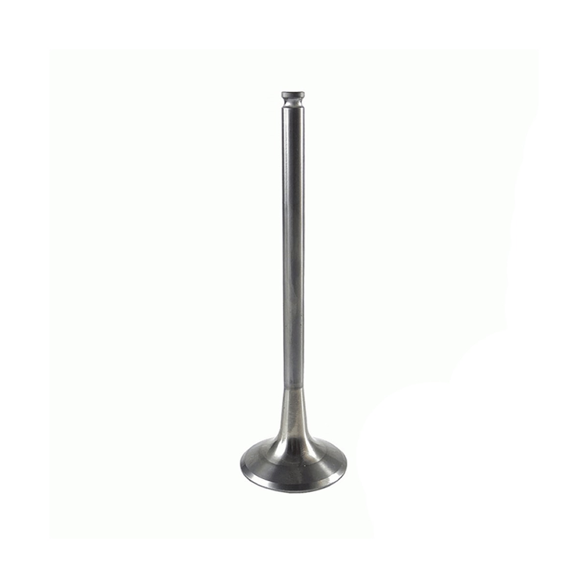 Product main image - 9ed67761-c217-4cd5-a2ba-00d9639d4d5f