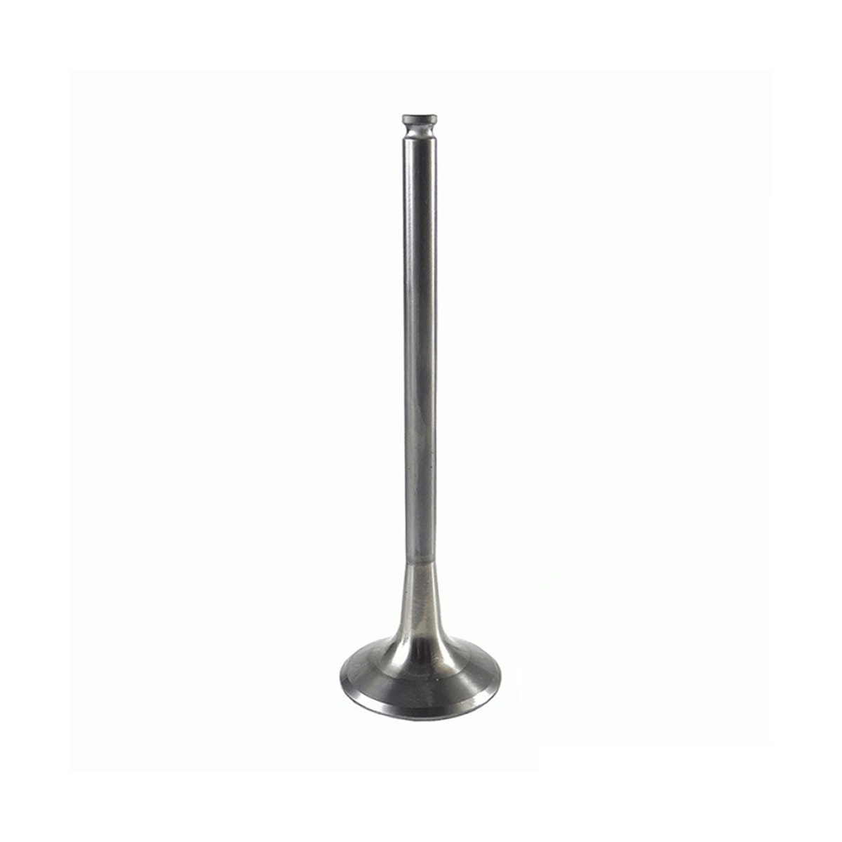 Product main image - faecefe2-c0fb-43dc-8769-9e3ee15f375f