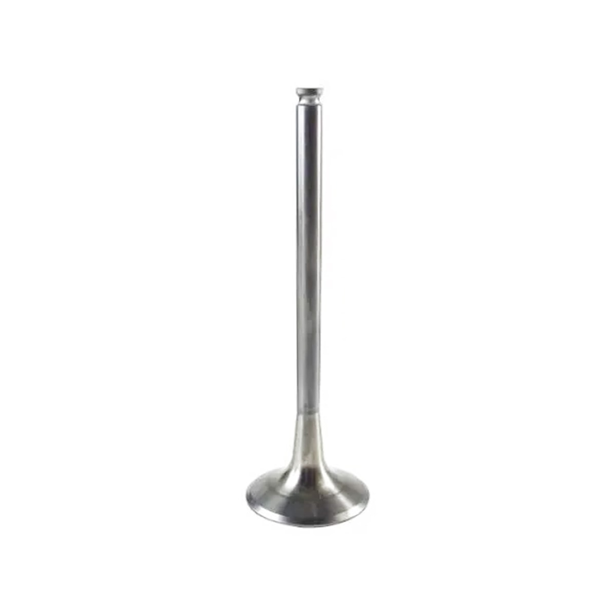 Product main image - 340b6bc5-2659-433c-8aaa-a4920437b77a