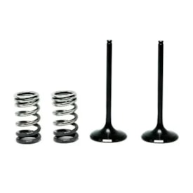 Válvula de Escape Kxf 250 04/16 + Molas 3B