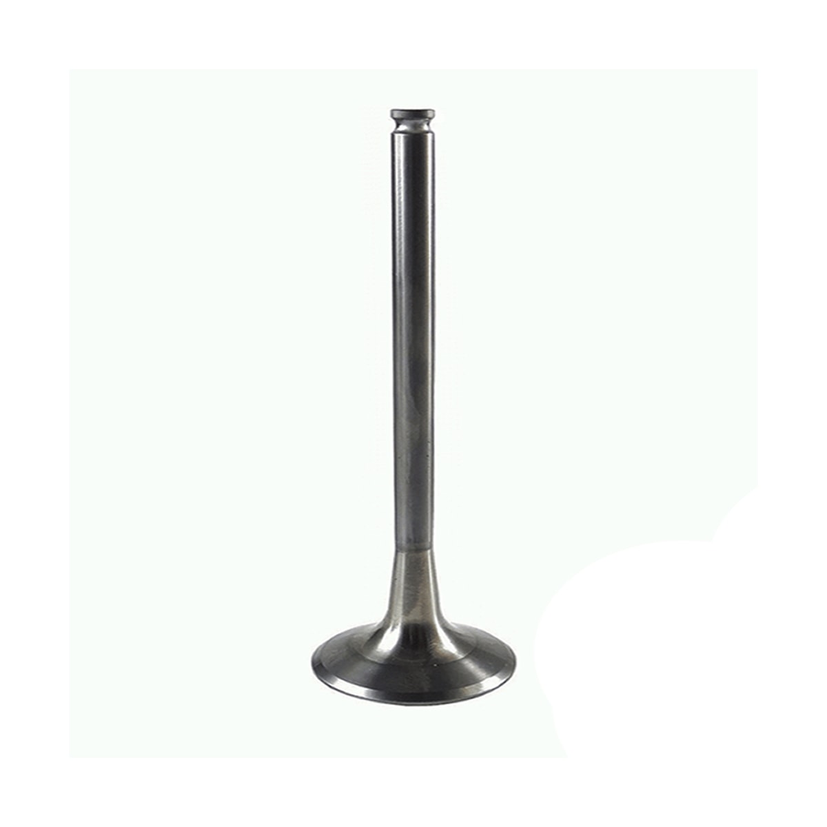 Product main image - b204e99c-06e4-4262-8f47-af8dd223b155