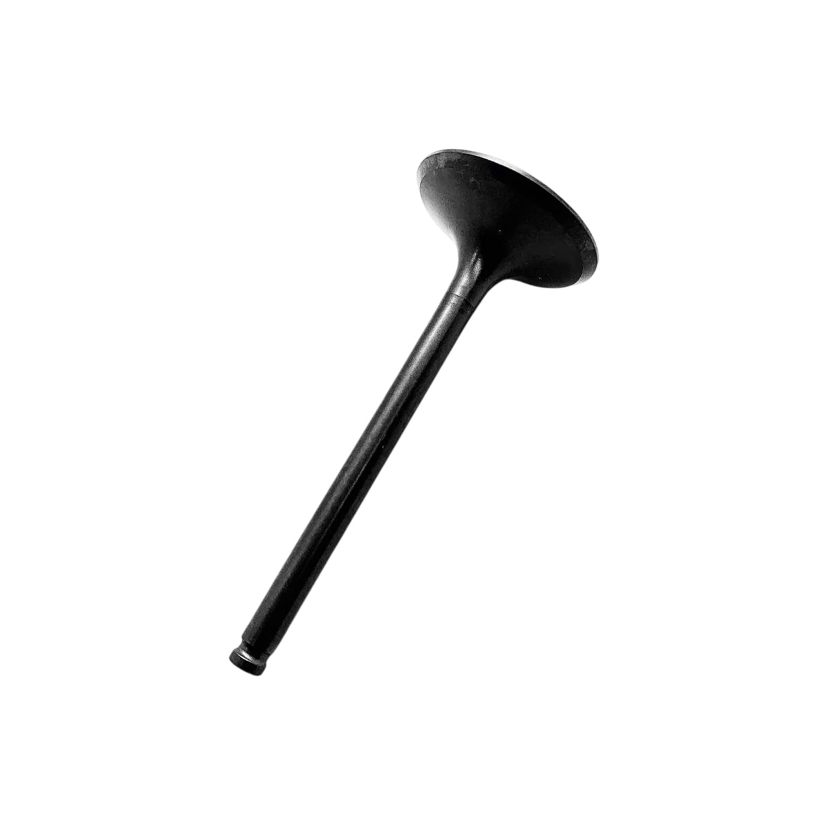 Product main image - 258c1a92-db13-4d4a-8049-d75d1a379615