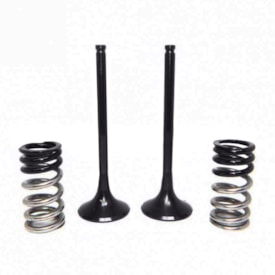 Válvula de Escape + Molas Ktm Sxf 250 13/15 3B