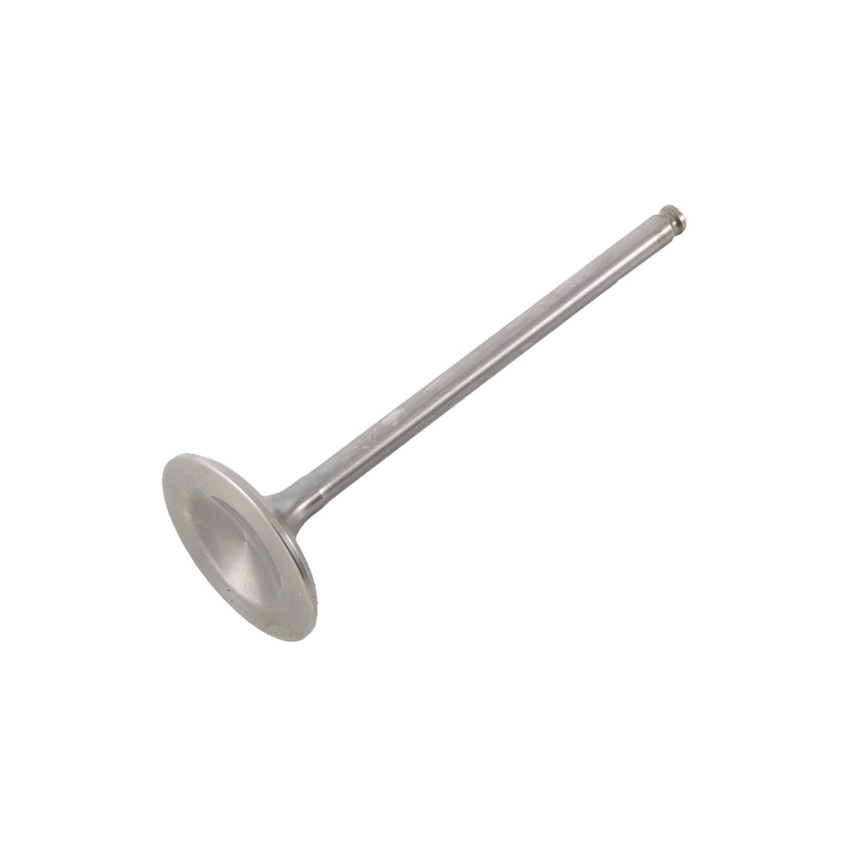 Image em miniatura da foto do produto - 2dbbdd9d-b950-4a4c-9b21-1e751ef1bf9d