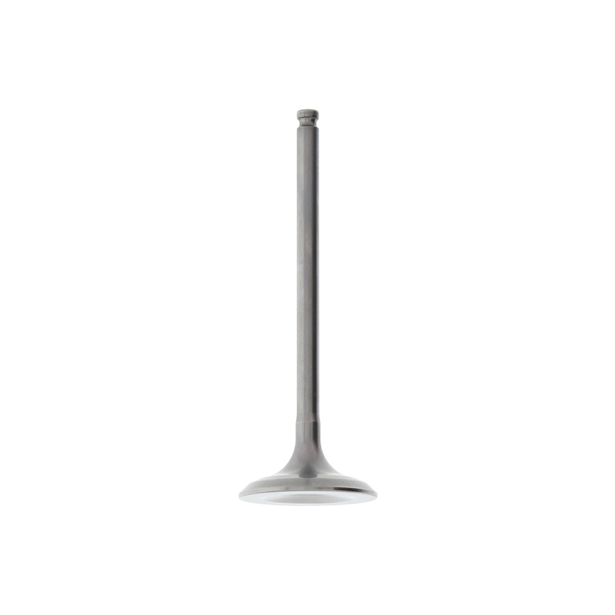 Image em miniatura da foto do produto - 82fd5c80-a2e9-4746-92bf-9261920d6464