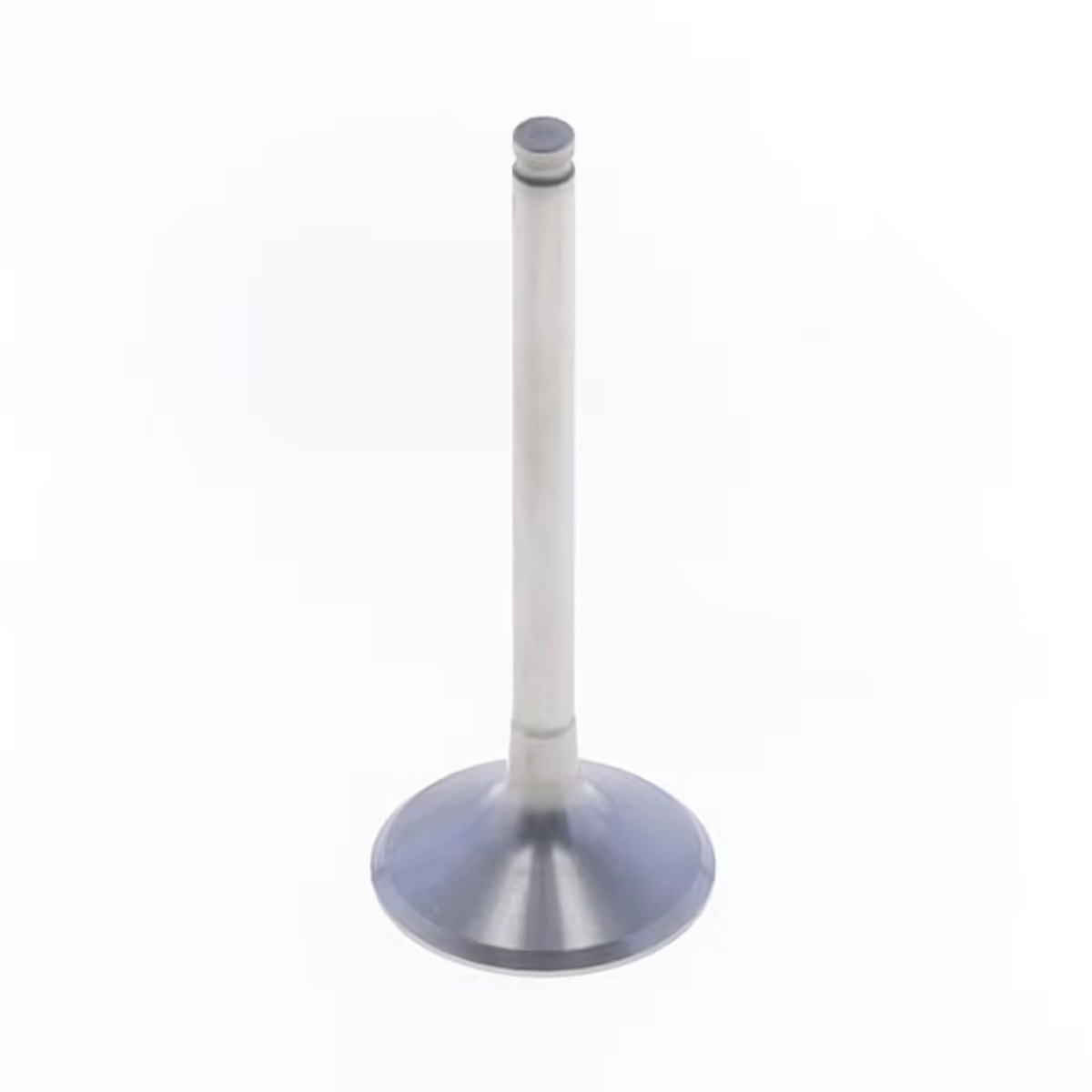 Product main image - 48696840-ceba-4b99-a77a-924d29b0c07c